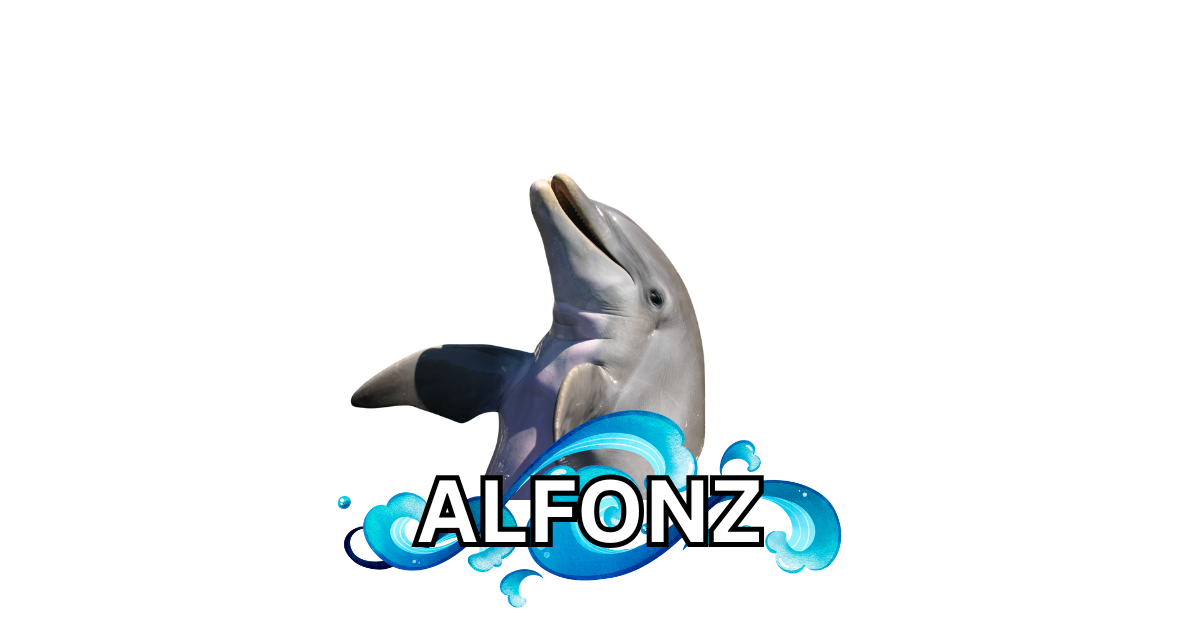Dolphin Magnets! 🐬🌴