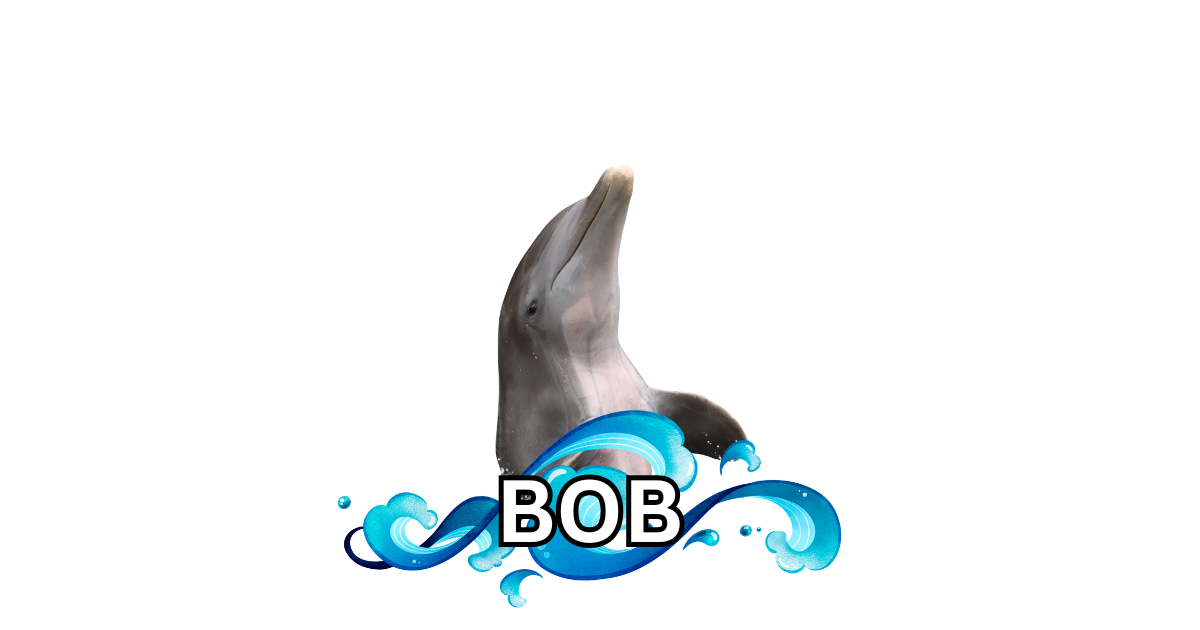 Dolphin Magnets! 🐬🌴
