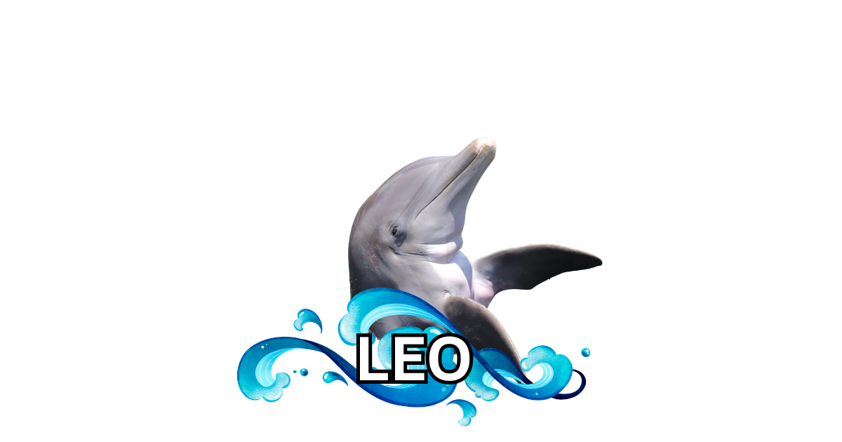 Dolphins Plus Dolphin Magnets! 🐬🌴