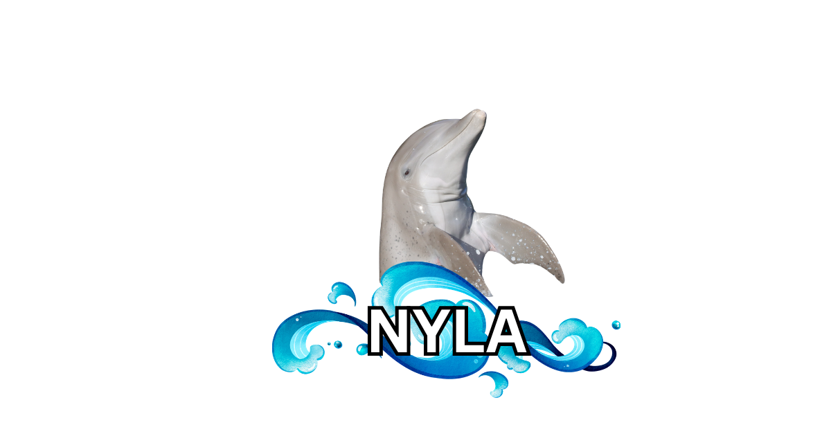 Dolphin Magnets! 🐬🌴