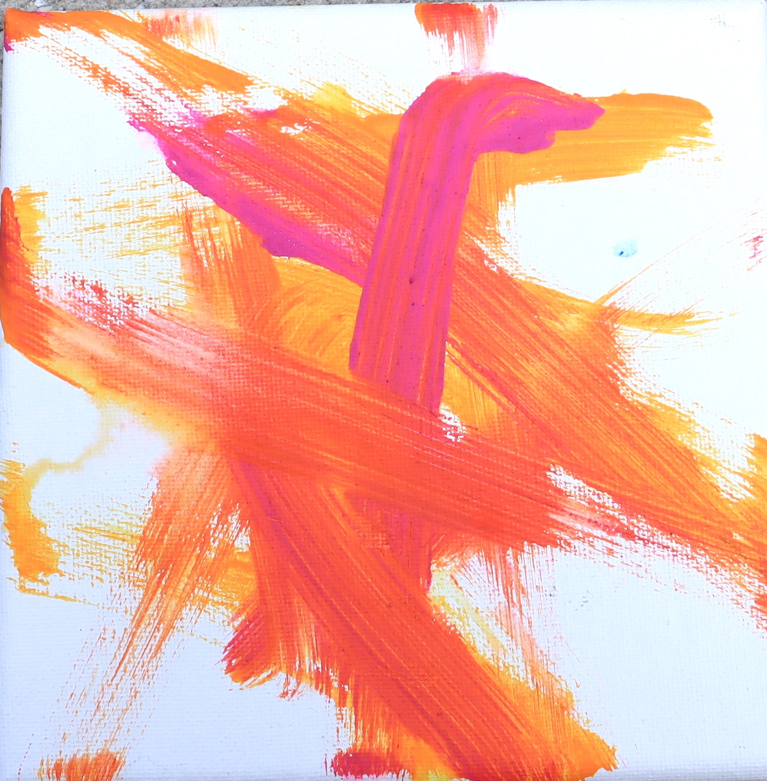 Paintings By Samantha