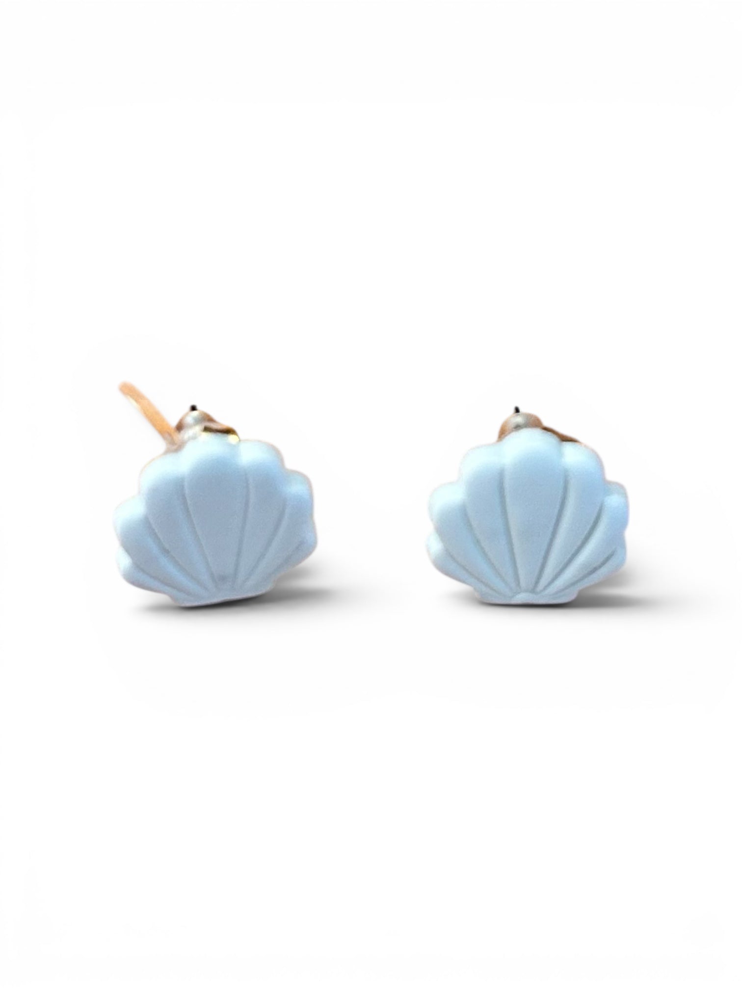 Sea Shell Stud Earrings