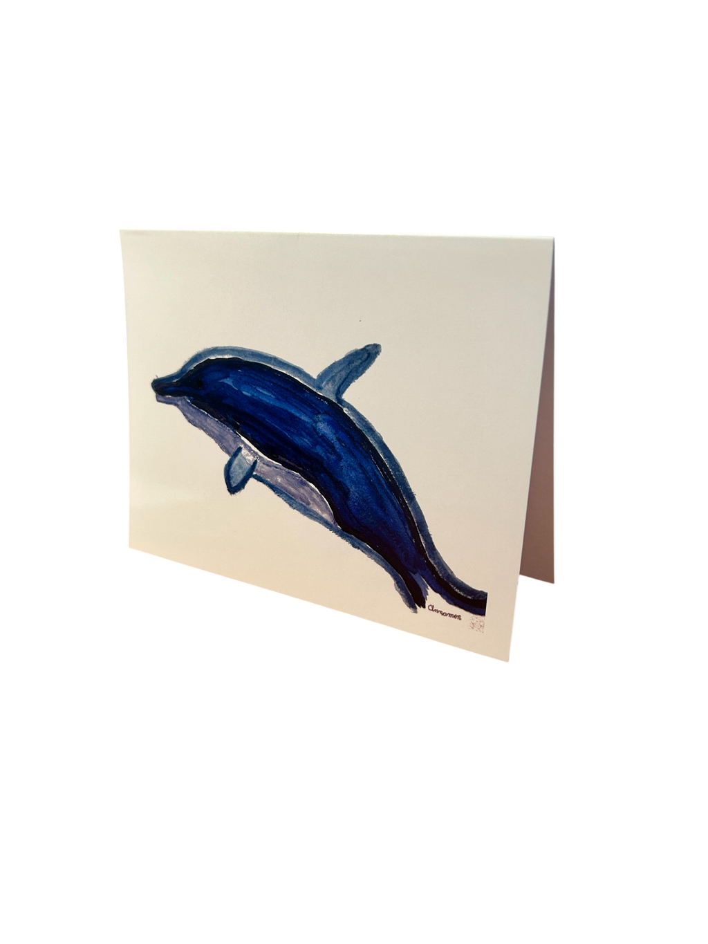 Cinnamon's Florida Keys Note Card Collection (5-Pack)