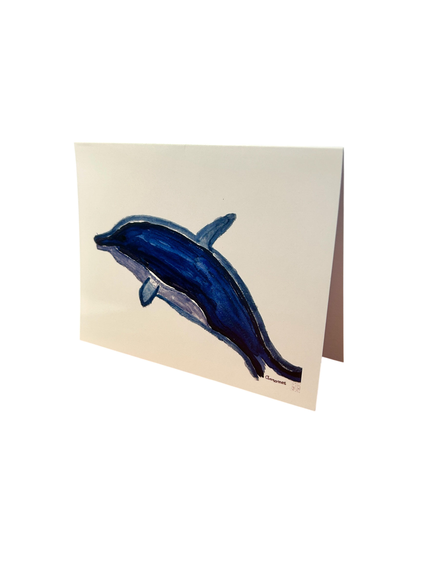Cinnamon's Florida Keys Note Card Collection (5-Pack)