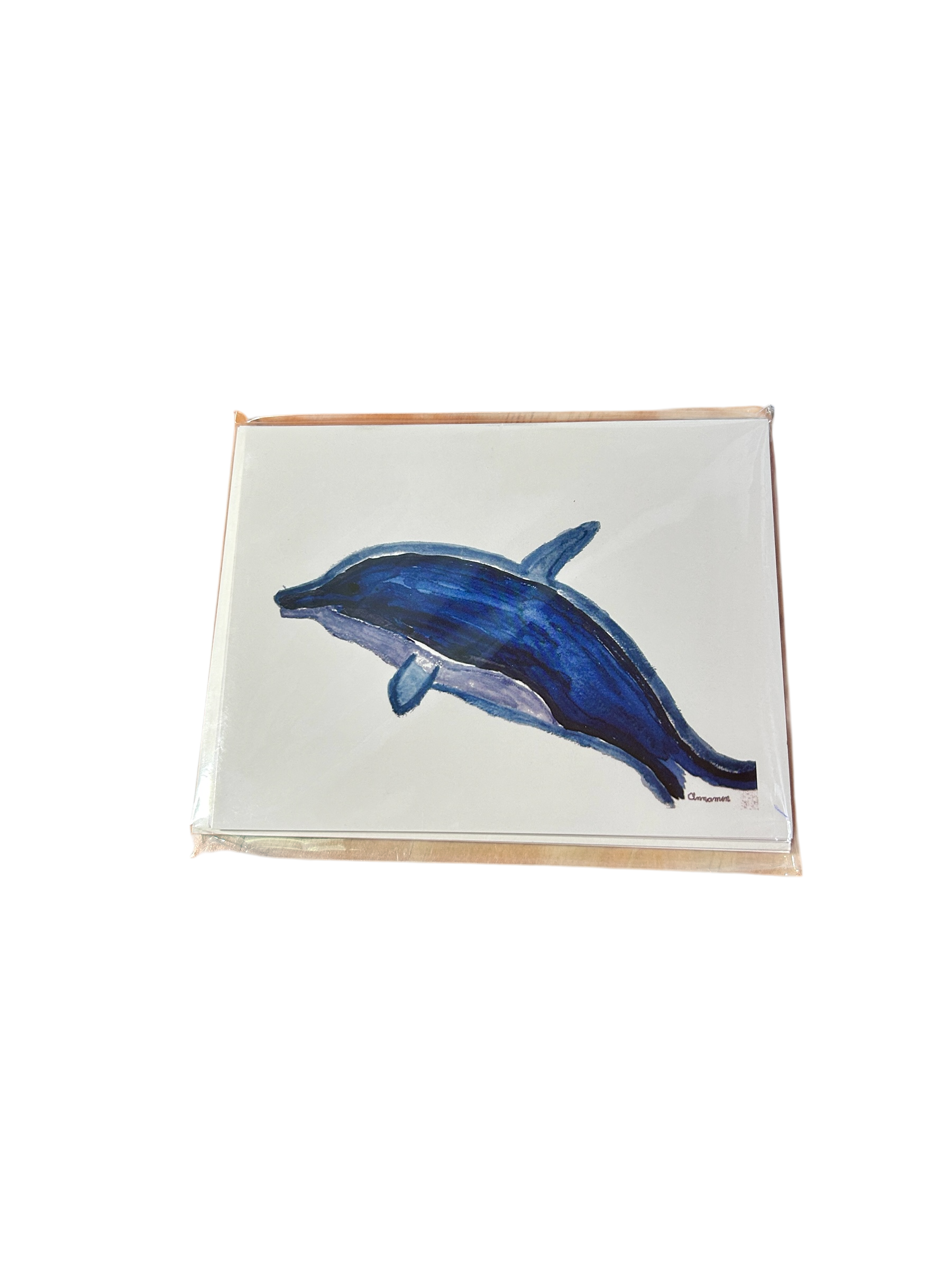 Cinnamon's Florida Keys Note Card Collection (5-Pack)