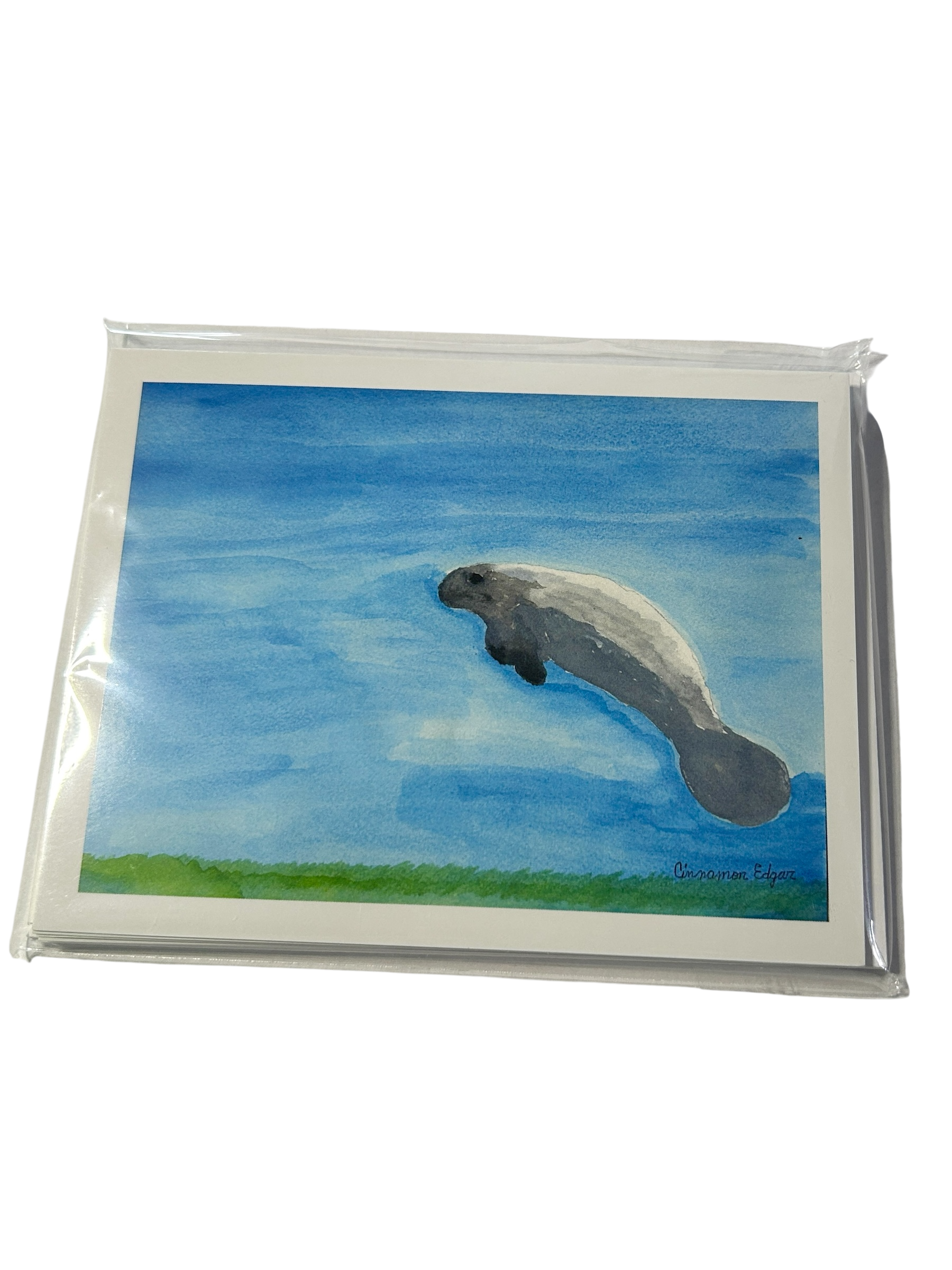 Cinnamon's Florida Keys Note Card Collection (5-Pack)
