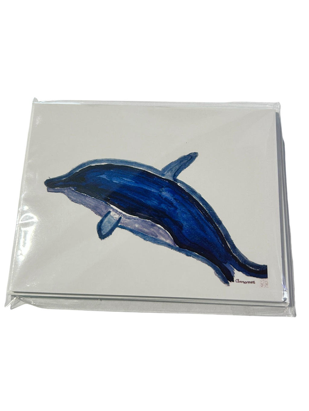 Cinnamon's Florida Keys Note Card Collection (5-Pack)