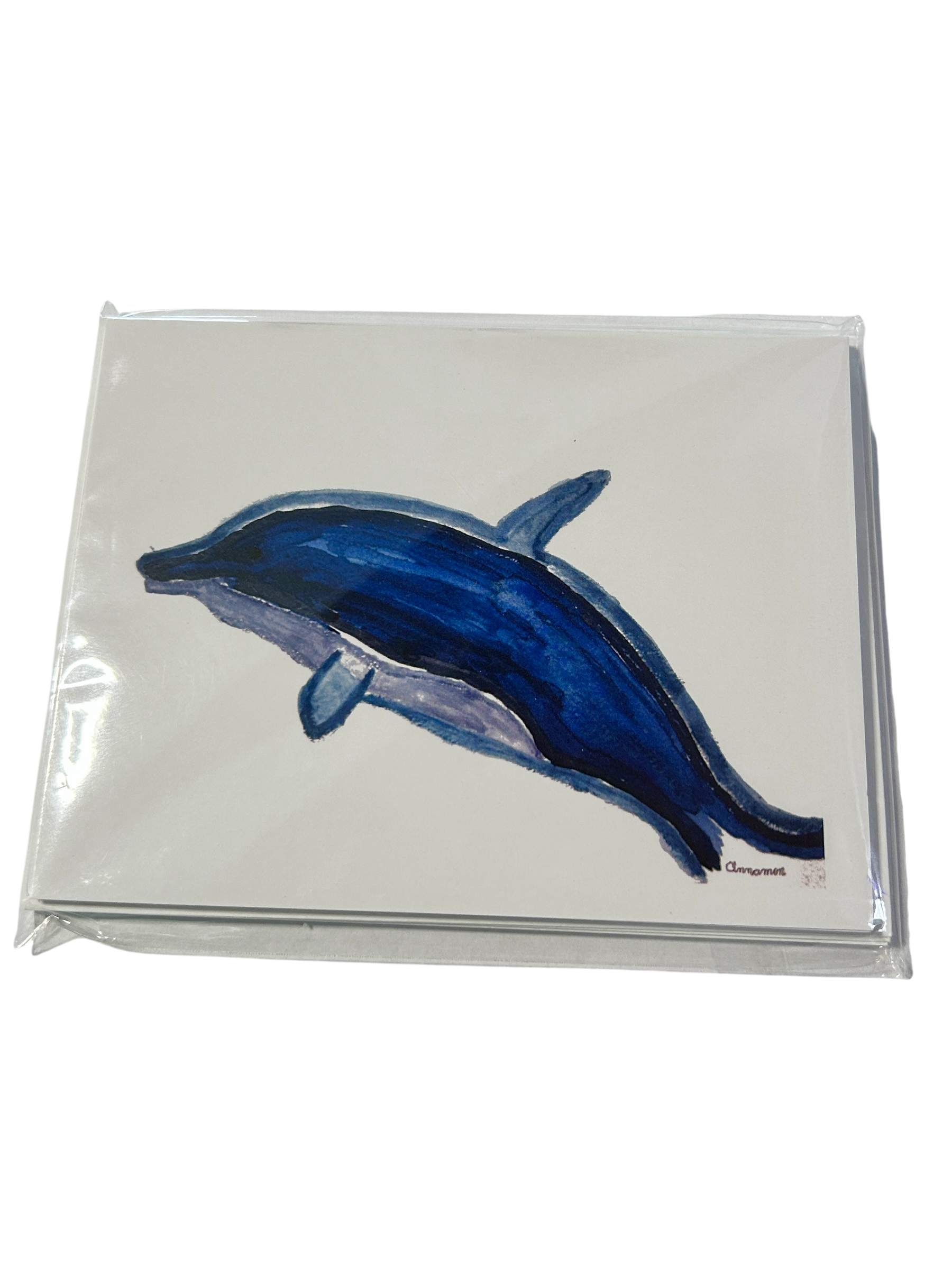 Cinnamon's Florida Keys Note Card Collection (5-Pack)