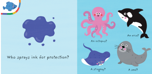 My Colorful Ocean Quiz Book