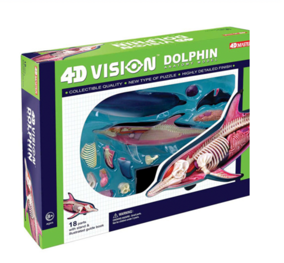 4D Dolphin Anatomy