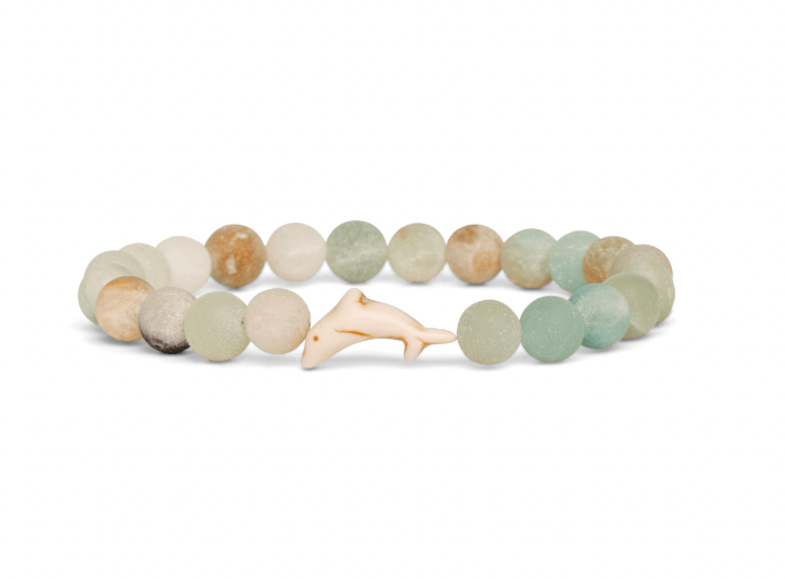 Dolphin Tracking Bracelet