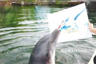 Samantha Painted Canvas