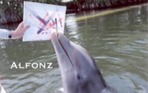 Alfonz Painted Canvas