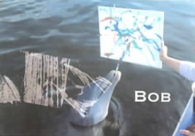 Bob Painted Canvas