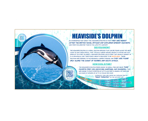 Book Dolphins Edition 1 Coloring Passport