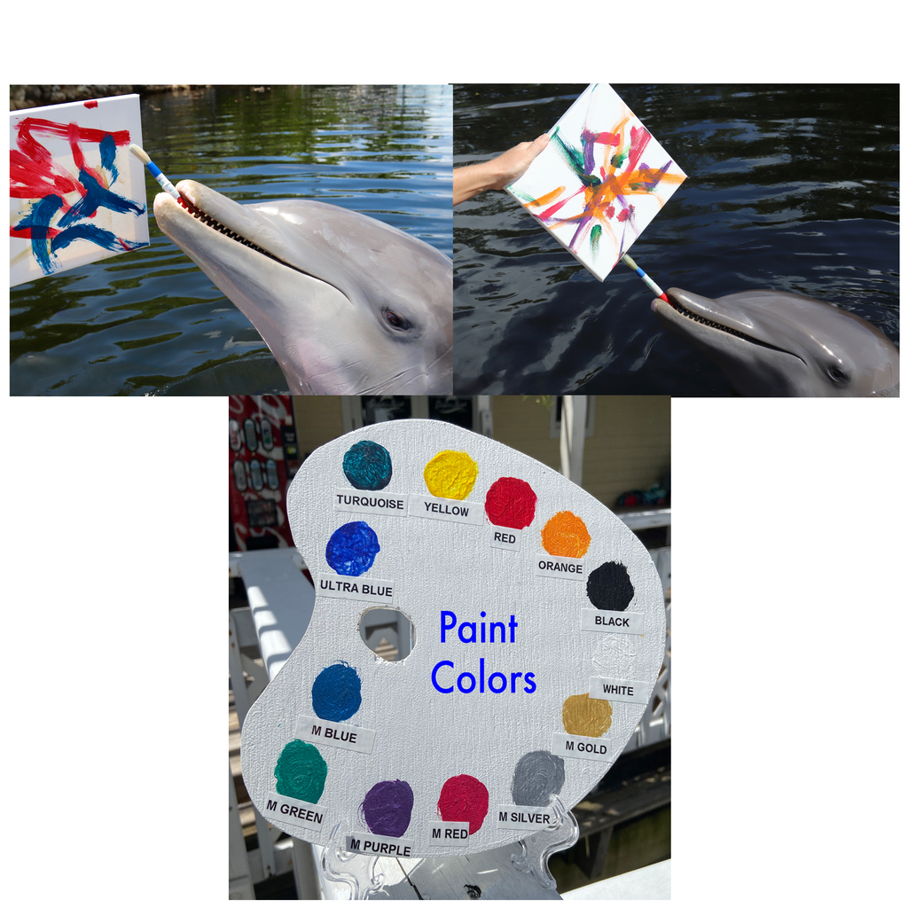 Custom Dolphin Painted Canvas