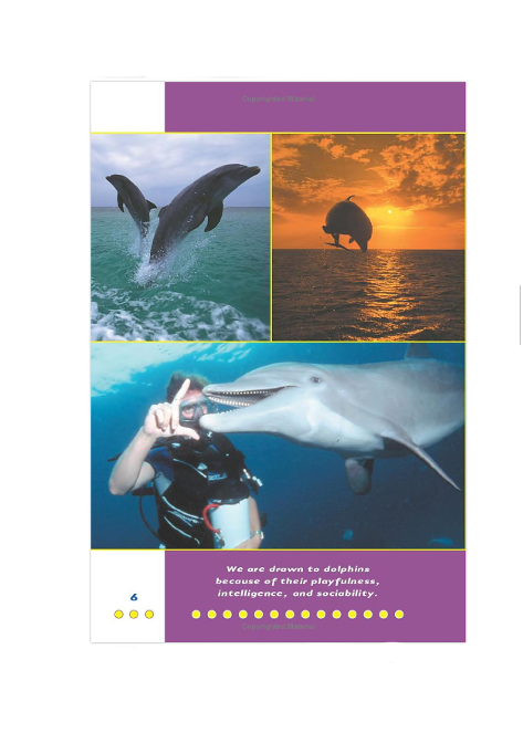 Book FAQ's Everything Dolphin
