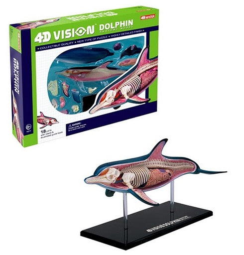 Toy 4D Dolphin Anatomy