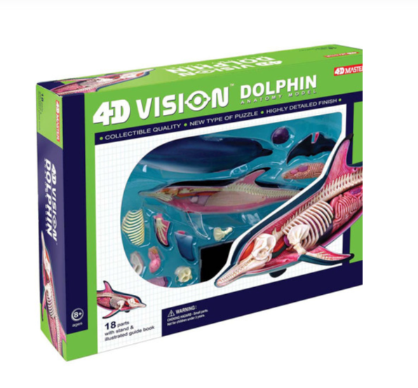 Toy 4D Dolphin Anatomy