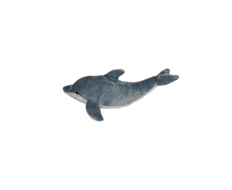 Plush 8" CK Dolphin