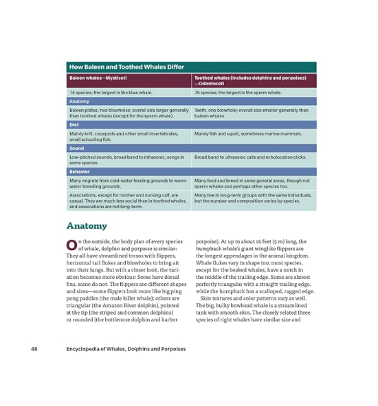 Book Encyclopedia of Whales Dolphins and Porpoises