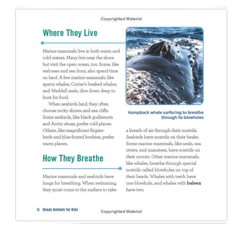 Book Ocean Animals for Kids