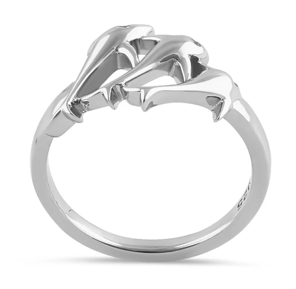 Ring Jumping Dolphin