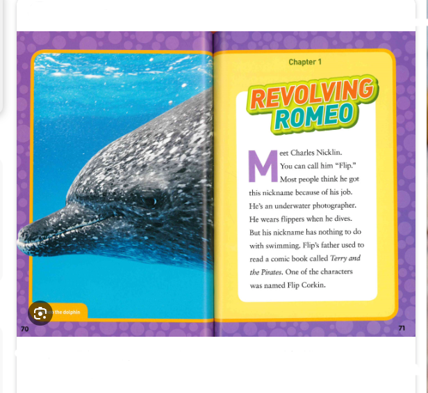Book National Geographic Everything Dolphins