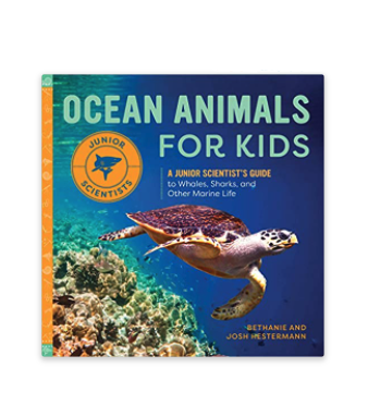 Book Ocean Animals for Kids