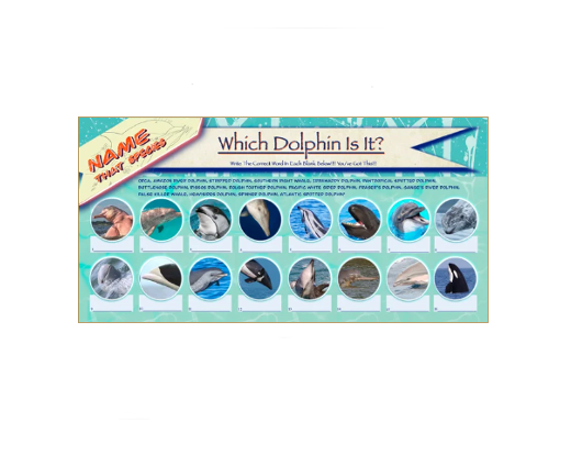 Book Dolphins Edition 1 Coloring Passport