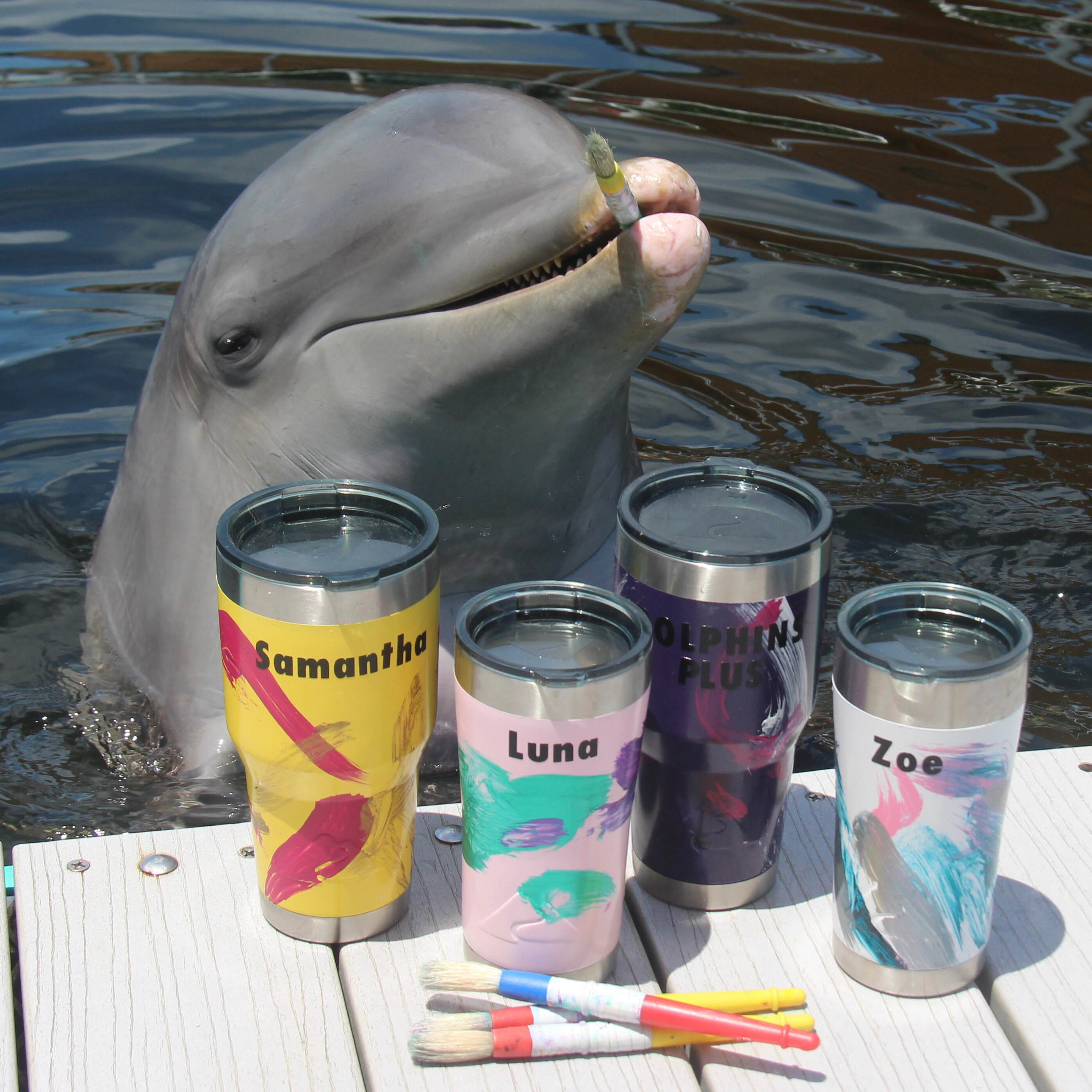 Custom Dolphin Painted Tumbler