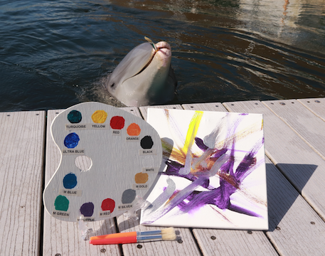 Custom Dolphin Painted Canvas