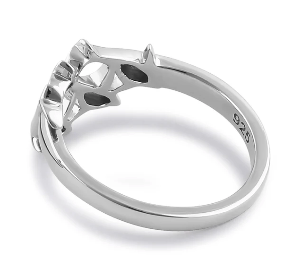 Ring Jumping Dolphin