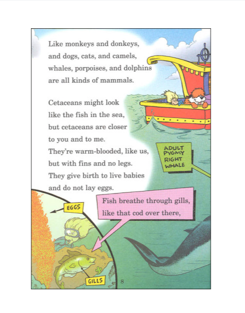 Book A Whale of a Tale