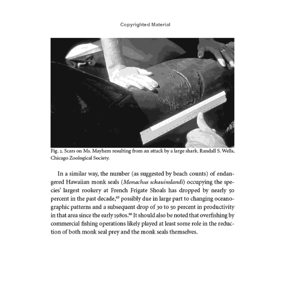 Book Bottlenose Dolphin Biology and Conservation