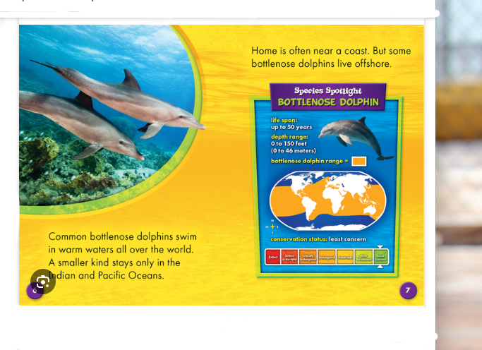 Book National Geographic Everything Dolphins